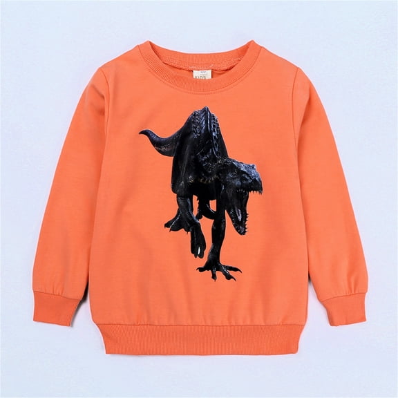 Boys Clothes Sweatshirt Sweatshirts No Hood Lounge Sweatshirts for Boys Trendy Long Sleeve Graphic Top Cute Pattern Print