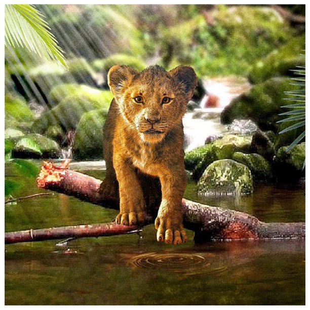 Cuadros Decorativos 5D DIY diamante pintura completo taladro León Zoo bordado punto de cruz Kit arte Tmvgtek embutido en tela