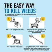 Roundup Dual Action Weed & Grass Killer Plus 4 Month Preventer, 32 fl. oz.