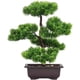 thumbnail image 1 of Decoración de árbol bonsái artificial ZHCH pino japonés en maceta 33 cm, 1 of 4
