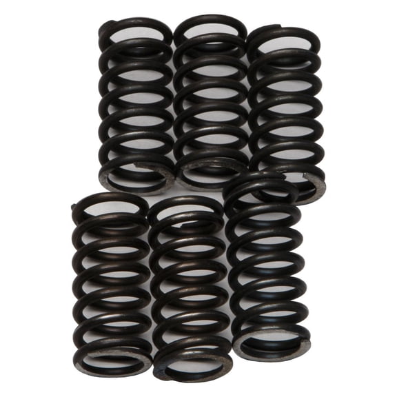EBC - CSK Series Heavy Duty Clutch Spring Kit