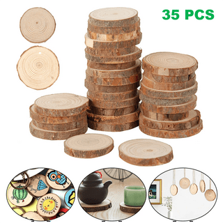 Deago 10 Pcs Natural Wood Slices Set Wood Rounds kit with Hole Wooden  Circles For DIY Arts and Crafts Christmas Party Ornaments (3.5-4inch)