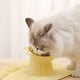 thumbnail image 1 of Cuenco de plástico inclinado para mascotas para perros, gatos, cachorros y gatitos, cuenco antideslizante para comida y agua, protección ergonómica para el cuello, 3 colores, lavavajillas, 1 of 7