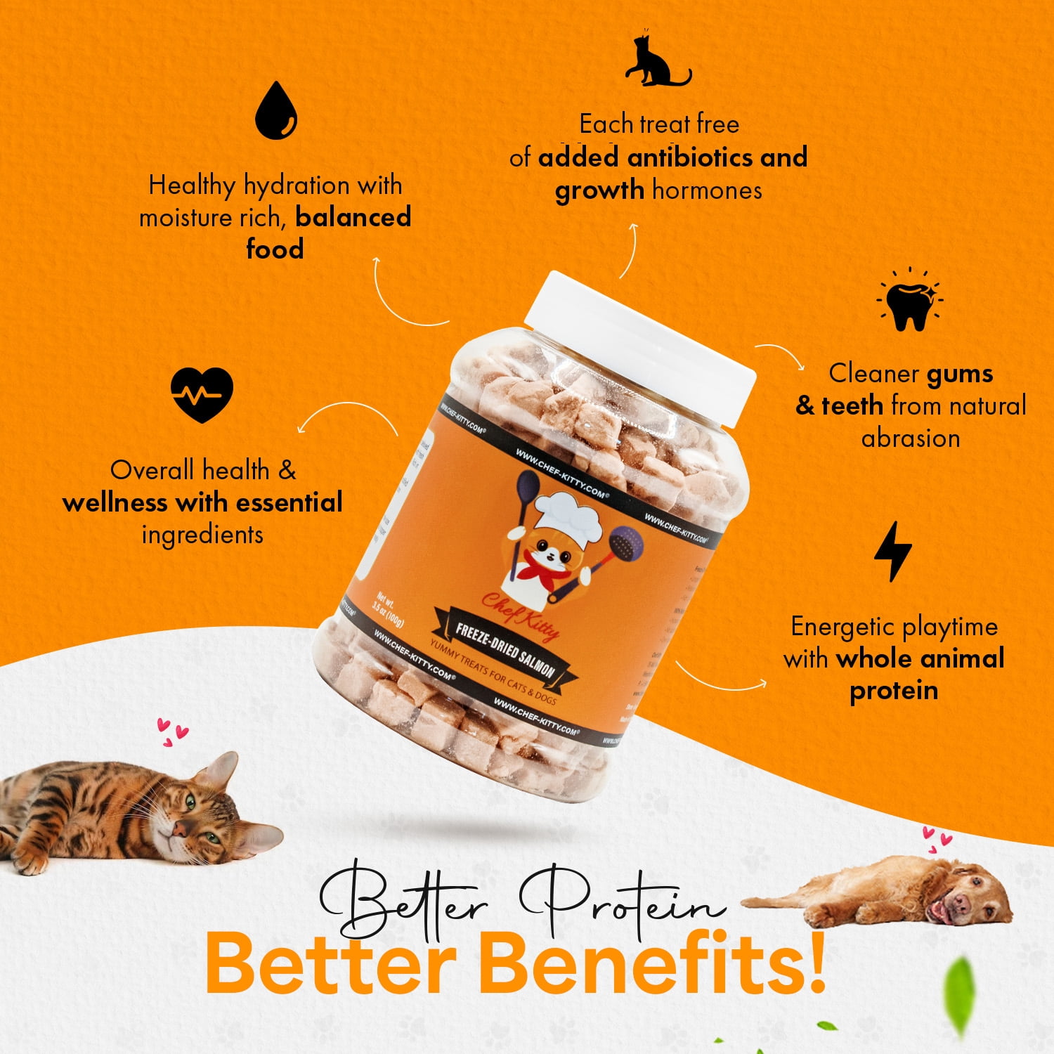Chef Kitty Freeze Dried Cat Treats Wild Caught Salmon, 2.6 oz