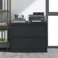 thumbnail image 3 of Dtwnek 2 Drawer Lateral File Cabinet with Lock, Lockable File Cabinet for Home Office, Locking Metal File Cabinet for Letter/A4/F4 Size, Black, 3 of 6