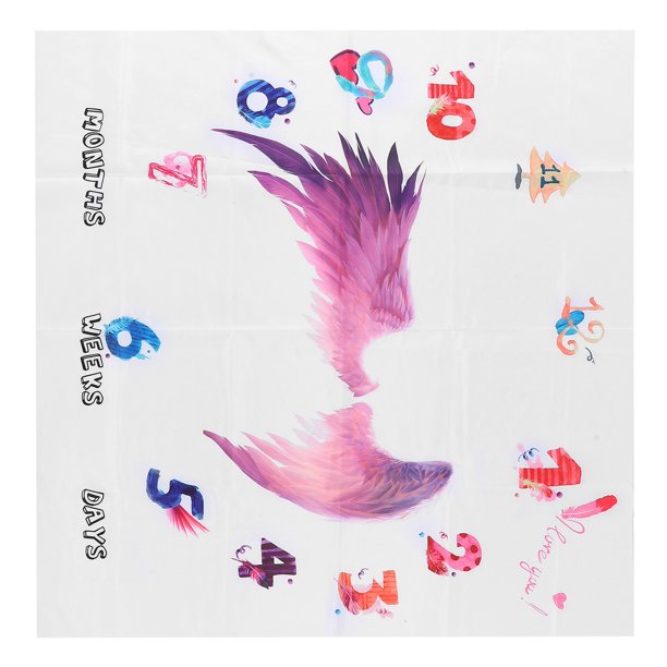 Baby photography cloth newborn monthly cloth baby monthly cloth baby milestone cloth milestone cloth Wing Pattern Baby Photo Background Cloth Soft Infant Monthly Photography Cloth ANGGREK Otros