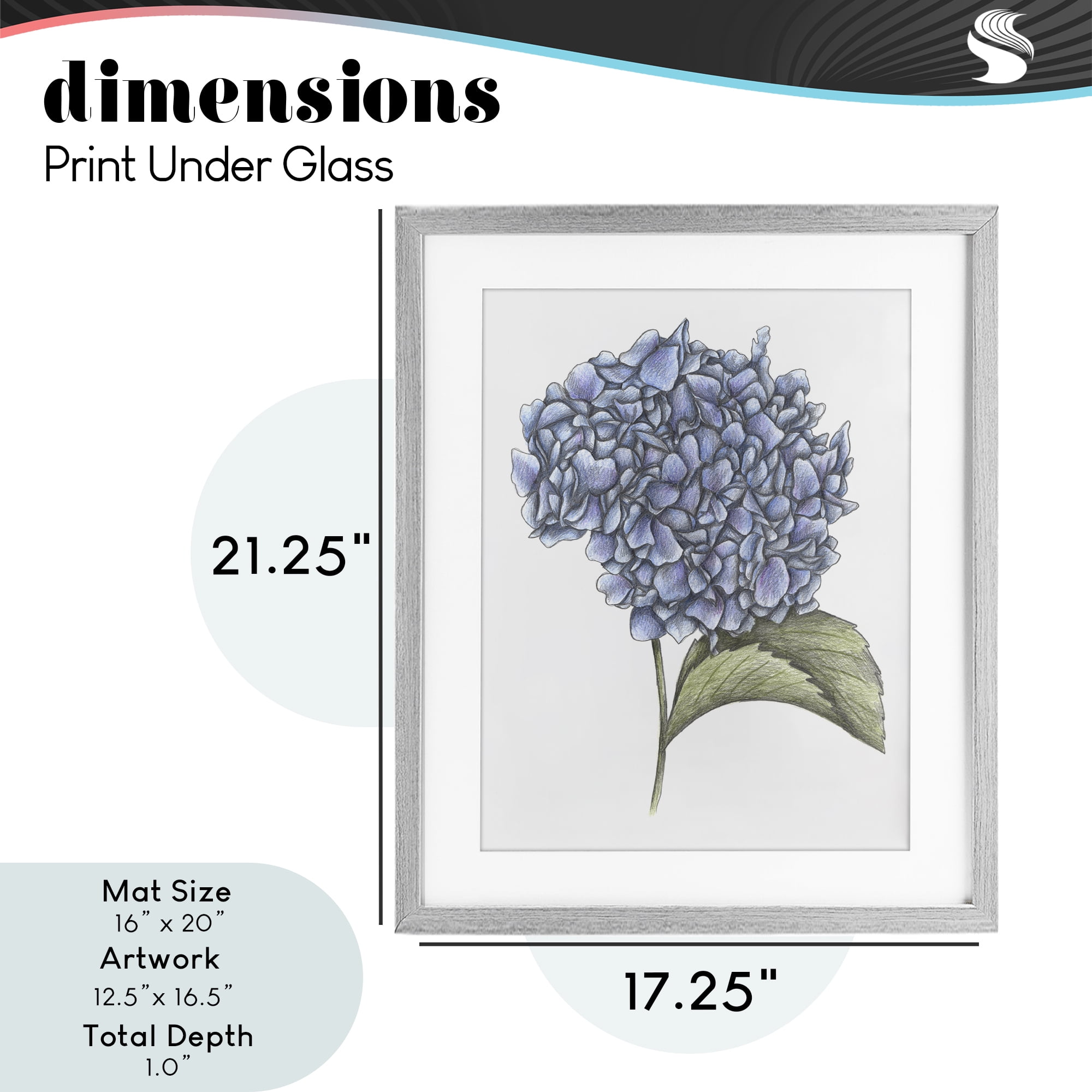 Hydrangea Sketch Blossom Gray Framed Print Under Glass, design by Cecilia Battaini