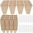 thumbnail image 1 of IFANLANDOR 40 Labels Pulp Cup Assorted Color for Indoor Planting and Gardening, 1 of 5