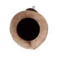thumbnail image 3 of D-GROEE Hanging Bird House with Ladder,Natural Coconut Shell Bird Nest Breeding for Parrot Parakeet,Coconut Hide Bird Swing Toys for Hamster,Bird Cage Accessories,Pet Bird Supplies, 3 of 7