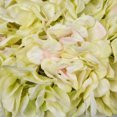 thumbnail image 2 of Vickerman 21" Artificial Lt Olive Hydrangea Bouquet in 10" Glass Vase with Rock and Acrylic Water, 2 of 3