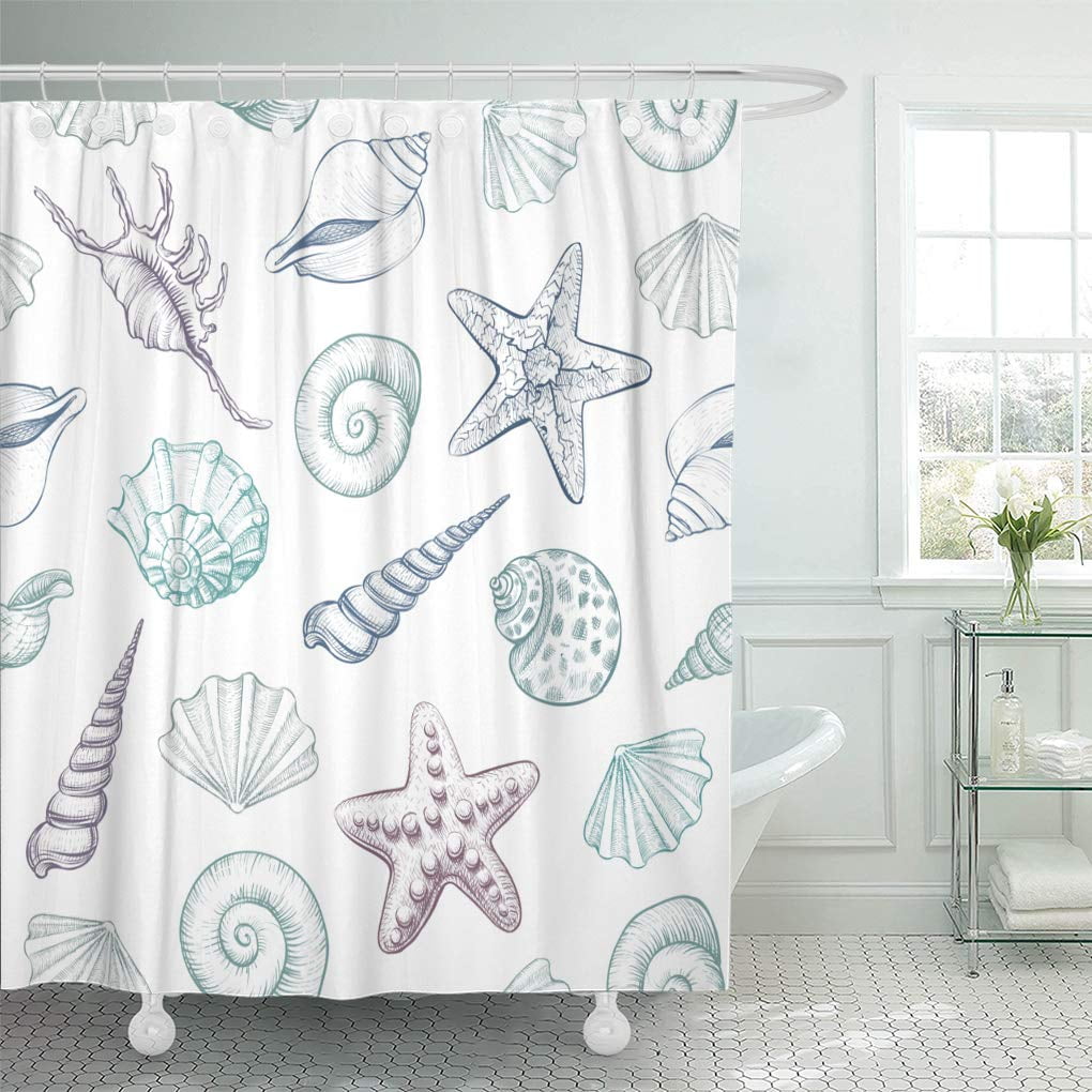 KSADK White Shell Seashells Marine Illustrations of Engraved Line