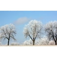 thumbnail image 2 of Tammy Putman 40x27 Gallery Wrapped Canvas Wall Art Titled - Frozen Fog I, 2 of 4