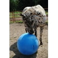 thumbnail image 4 of Horsemen's Pride Jolly Mega Ball Equine Heavy-Duty Anti-Burst Pump Plug 30 inch, 4 of 7