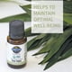 thumbnail image 4 of Aceite esencial Garden of Life Tea Tree 15 ml USDA Organic, 4 of 7