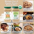 thumbnail image 2 of Rani Brown Basmati Rice Extra Long Aged 56oz (3.5lbs) 1.59kg PET Jar ~ All Natural | Gluten Friendly | Vegan | Indian Origin | Kosher | Export Quality | USDA Certified Organic, 2 of 8