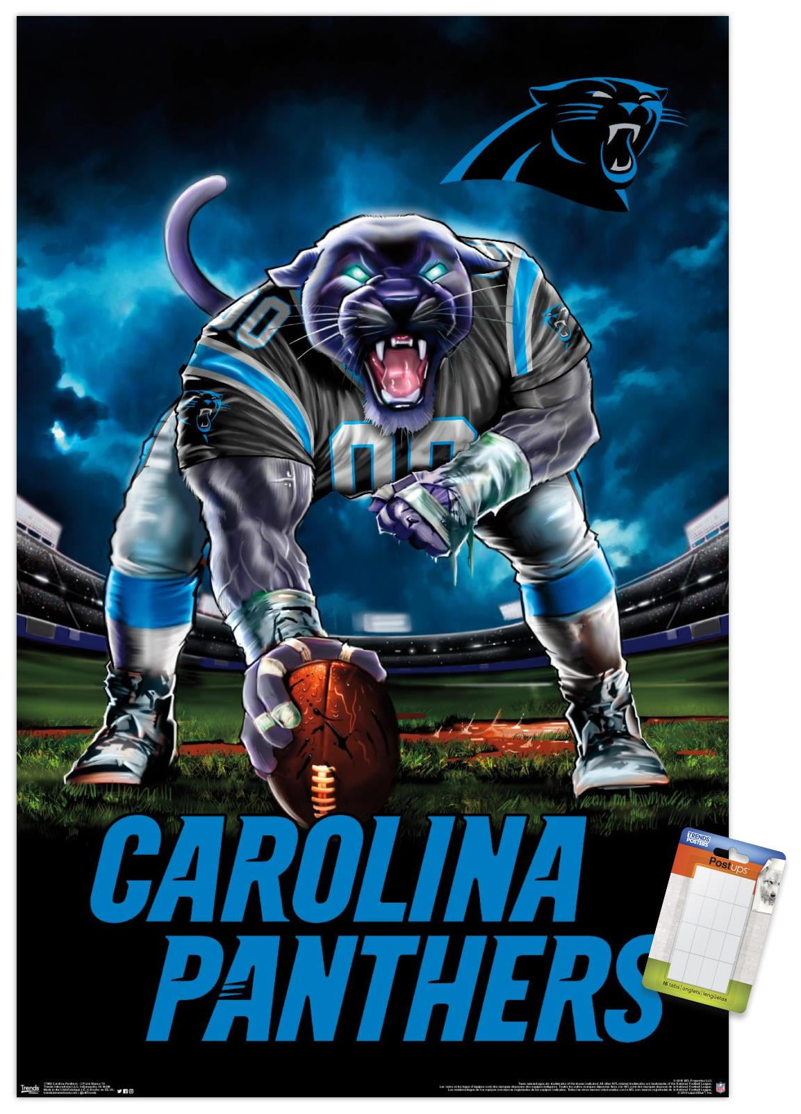 NFL Carolina Panthers 3 Point Stance 19 Wall Poster, 22.375" x 34"