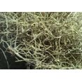 5 LB Box Of Spanish Moss Live Florida Halloween Decor