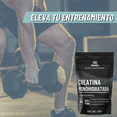 thumbnail image 3 of Creatina Monohidratada Daimel 1 kg Sin Sabor | Creatina en Polvo, 3 of 8