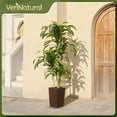 thumbnail image 2 of Artificial Dracaena Tree 6FT - UV Resistant Faux Tree with Large Taper Planter & Pebbles - Tall Fake Plants Indoor & Outdoor, Potted Floor Plant for Home Living Room Porch Decor, VN127, 2 of 18