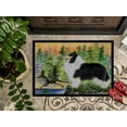 thumbnail image 3 of Carolines Treasures SS8203JMAT Collie Paillasson Intérieur Ou Extérieur - 24 x 36 Po., 3 of 4