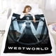thumbnail image 5 of Westworld anti-pilling, suave, ligera, esponjosa y acogedora de lujo para hogar y cocina – Perfecta para niños y adultos, 100 x 150 cm, 5 of 6