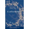 thumbnail image 2 of E. coli in Motion (Biological and Medical Physics, Biomedical Engineering), 2 of 2