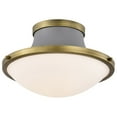 thumbnail image 5 of Nuvo Lighting - Lafayette - 1 Light Flush Mount In Contemporary Style-8.13, 5 of 15