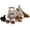 brown, variant on Tezituor 4Pcs Large Horse Stuffed Animal 21" Mommy Stuffed Horse's Belly Holds 3 Ponies Plush Toy