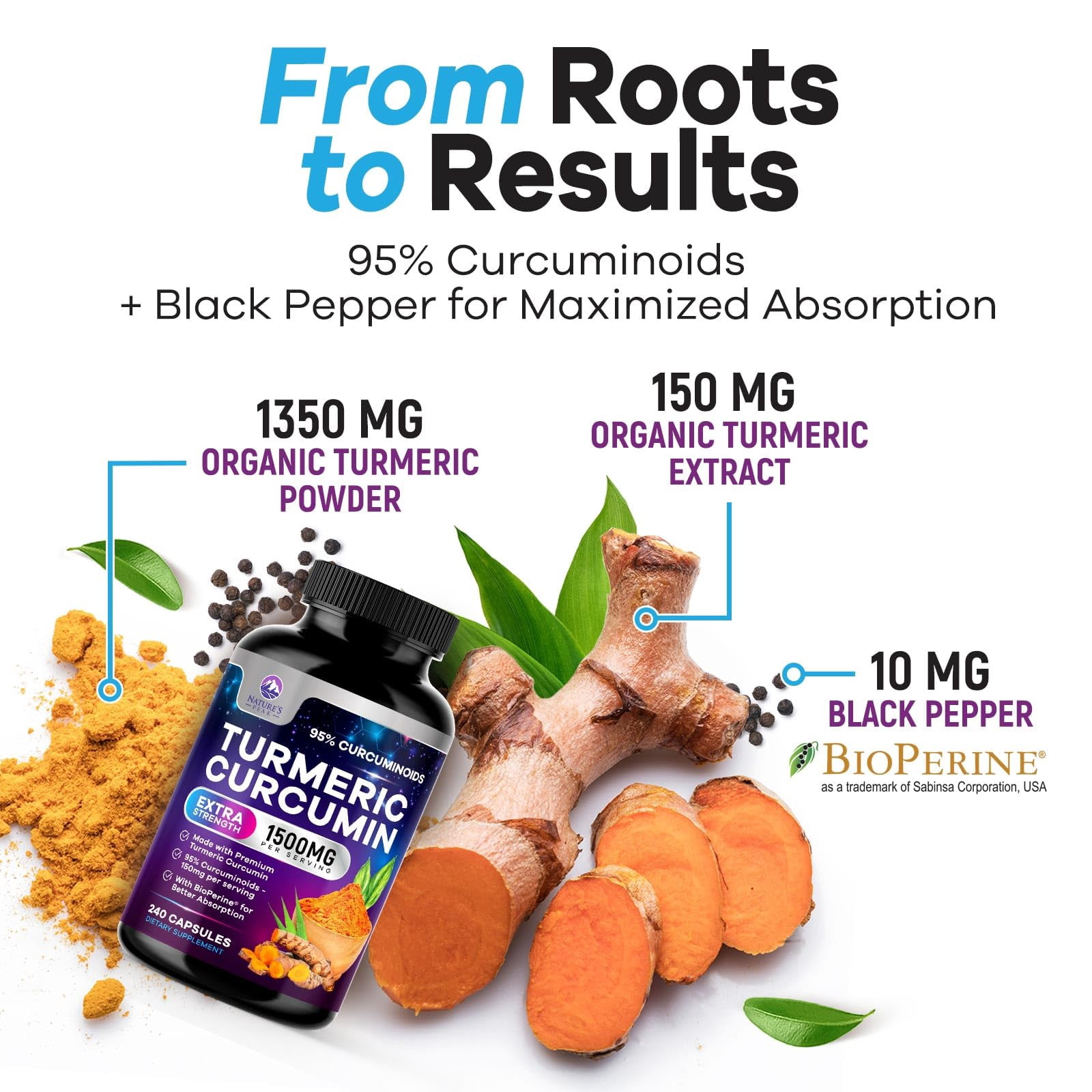 Turmeric Curcumin Supplement - 95% Curcuminoids with Organic Turmeric & Ginger, BioPerine Black Pepper Extract for Best Absorption, Natural Vegan Joint Support, Non-GMO, Bottled in USA - 240 Capsules