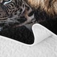 thumbnail image 5 of Erosebridal Lion Leopard Twin Quilt Set,Red Rose Bloom Twin Coverlet Set For Boys,2 Pieces, 5 of 7