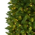 thumbnail image 5 of Nearly Natural Prelit with LED Lights 10' Pine Artificial Christmas Tree, Green, 5 of 9