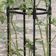 thumbnail image 4 of 150 cm Trellis Obelisk Metal Trellis with PlasticCoated WeatherResistant Freestanding Climbing Plants Ref: 6981, 4 of 5