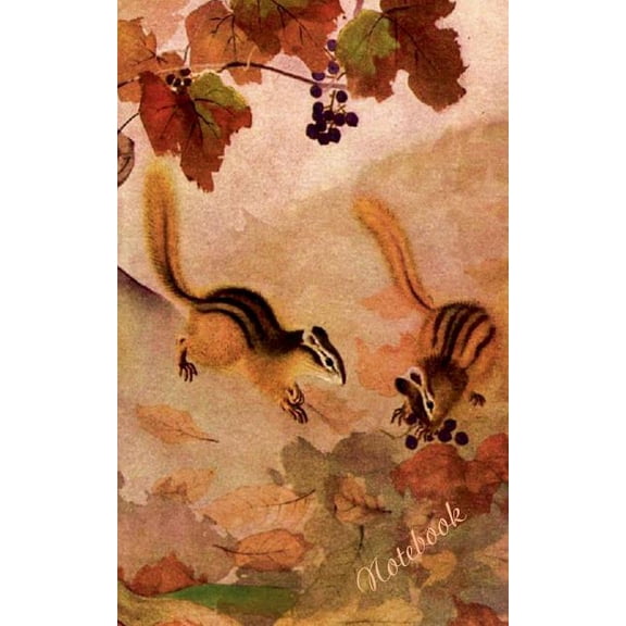 EichhÃ¶rnchen - Notizbuch: Motiv Notizbuch, Notebook, Einschreibbuch, Tagebuch, Kritzelbuch im praktischen Pocketformat, (Paperback)