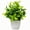 Dragon Crossing the River, variant on Artificial Potted Plants for Home Decor - Small Fake Greenery for Living Room, Bathroom, Office Desk