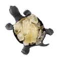 thumbnail image 1 of Hand - Carved Natural Amethyst Citrine Turtle Crystal Lamp - Energy - Infused Home Decor, 1 of 6