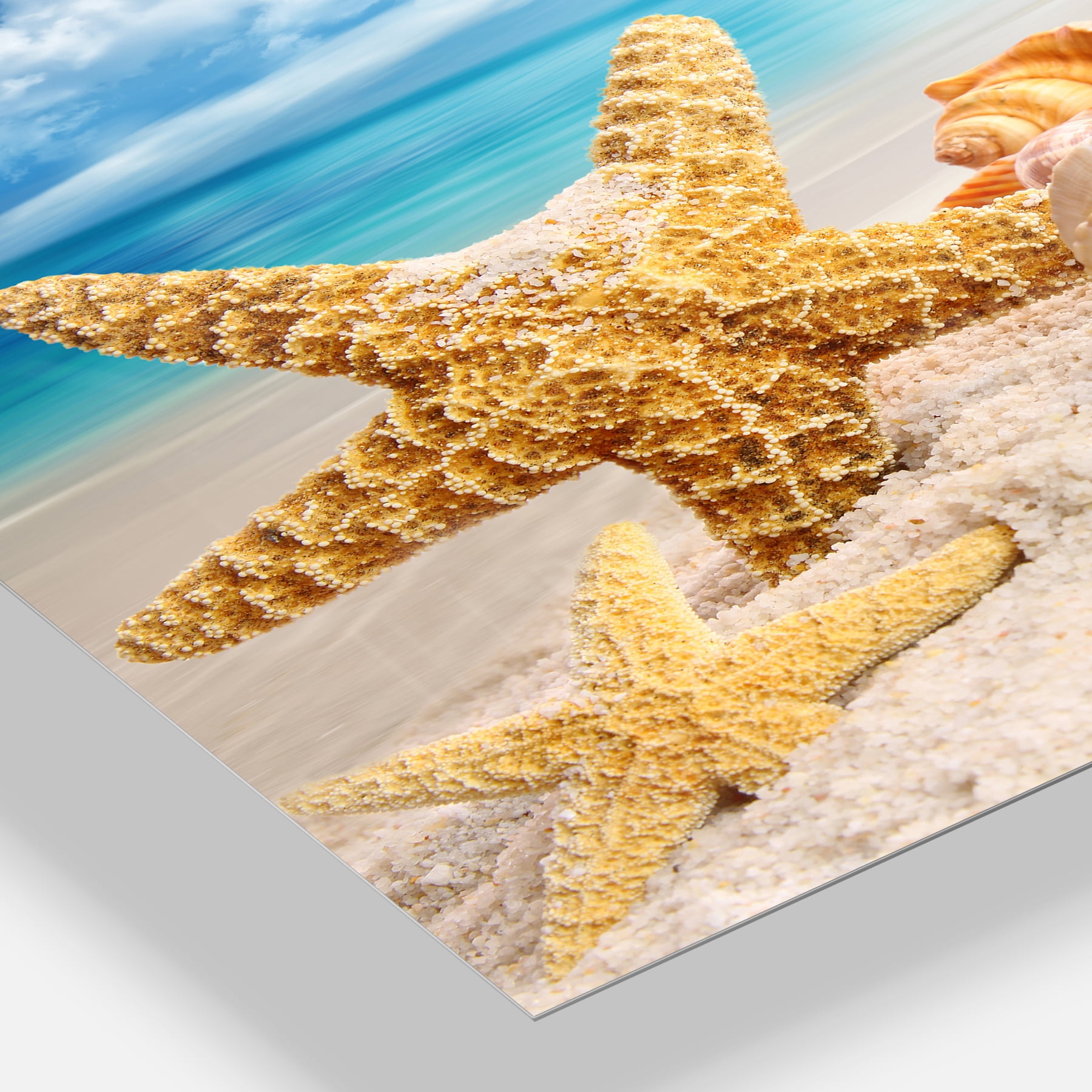 Starfish and Seashells on Beach 40.00" x 30.00" Photography Art Prints, by Designart