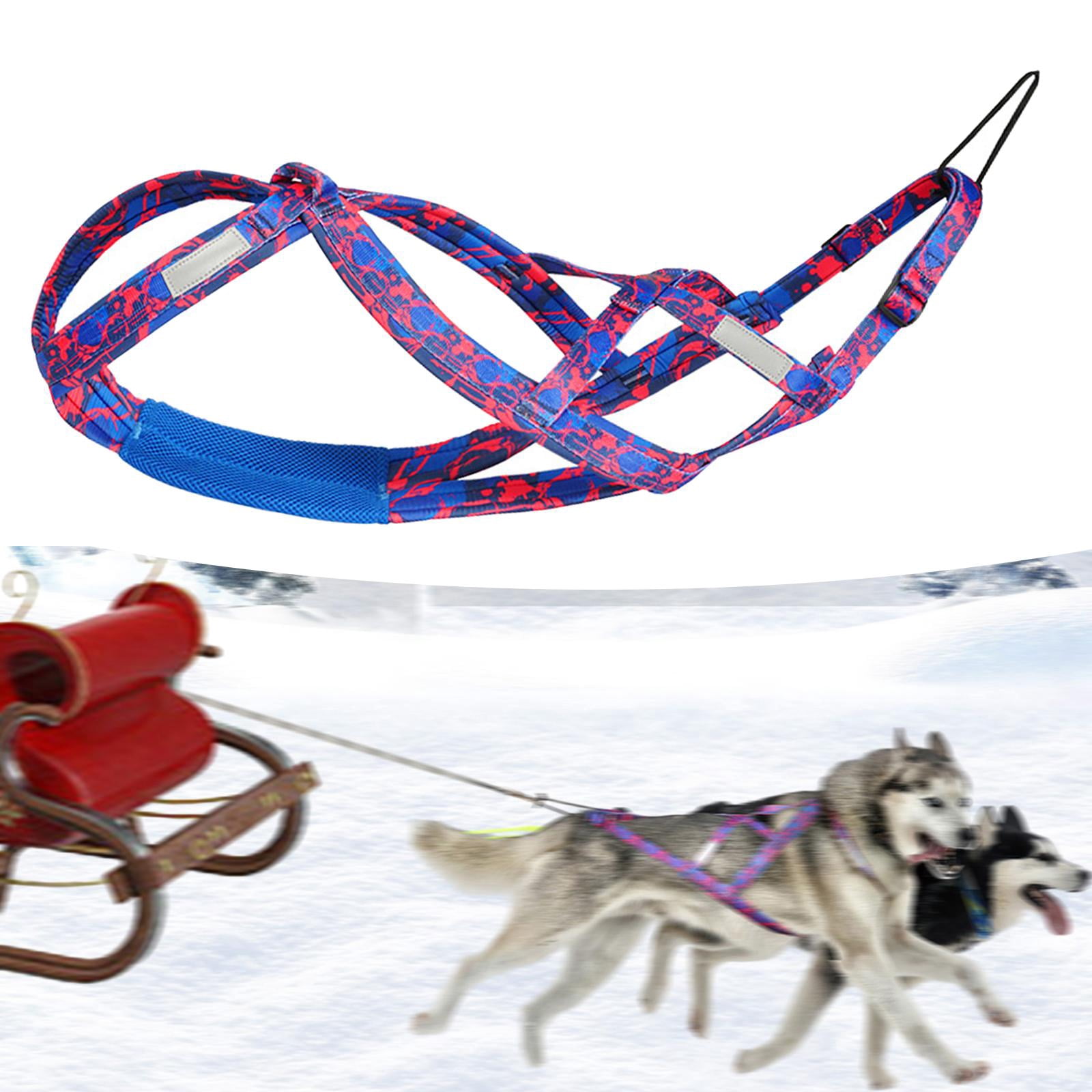 Husky Harness Running Harness Work Out for Medium Large Dogs Skijoring Professional Dog Pulling Harness Sled Harness , Rose Red M