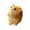 Adorable Stress ReliefToys Under $5 a4, variant on Fufafayo Squirrel SqueezeToyStress Relief Gift forKids, Cute Simulation Animal PinchToy, Desk Decor Ornament for Office Home, Fidget Sensory Plaything forChildren