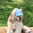 thumbnail image 6 of Aoznliie Dog Sun Hat, Adjustable Breathable Denim Baseball Cap for Small Pets, UV Protection Summer Hat with Ear Holes & Chin Strap, Blue M, 6 of 9