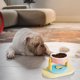 thumbnail image 2 of Cuenco ajustable para mascotas con ventosa, diseño inclinado 15° para gatos y perros, 3 opciones de altura, antideslizante, fácil de limpiar, protección de vértebras cervicales, prevención de, 2 of 6