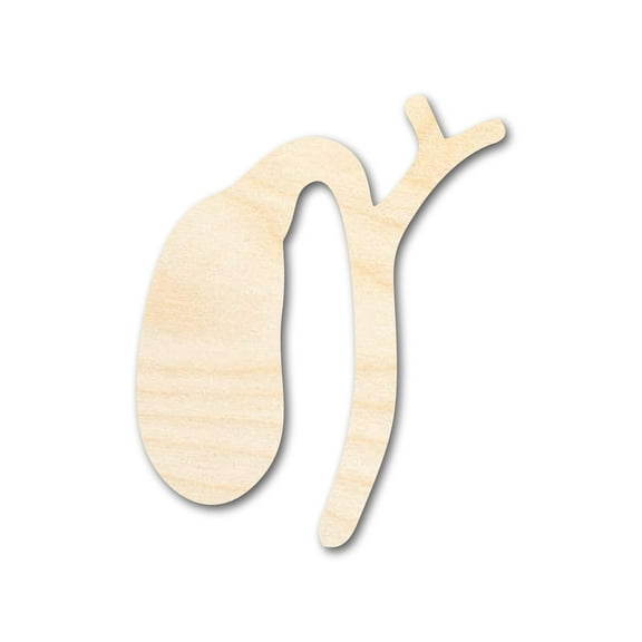 Unfinished Wood Gallbladder Shape 4" / 1/4"