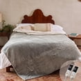 thumbnail image 1 of Gotcozy Heated Blanket Queen Size - Electric Blanket with Dual Controller 6 Heating Level & 10 Hour Auto Off Heating Blanket, ETL Certified (84X90 In, 1 of 7