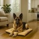 thumbnail image 4 of Cama Para Perro Q Perrón Raza Grande Color Beige, 4 of 7