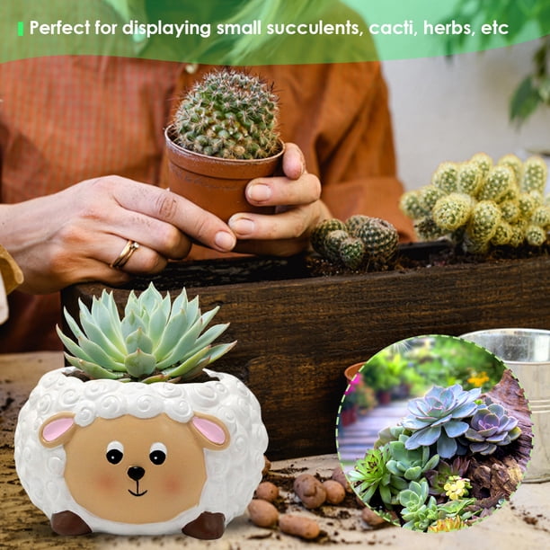 Mini Macetero De Cerámica De 6 Uds., Macetas Suculentas De Animal De Dibujos Animados Con Orificio