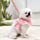 thumbnail image 4 of Juego de arnés y correa para perro, linda falda de encaje floral para gatos, perros pequeños, cachorros JAMW Sencillez, 4 of 5
