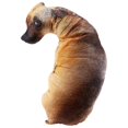 thumbnail image 3 of 3D Bend Dog Printed Throw Pillow Children Favorite Toy Cushion, 3 of 5