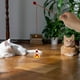 thumbnail image 5 of KAKOWELY 2 juguetes para gatos, juguetes para gatos, Papá Noel, muñeco de nieve, varillas, juguete para atrapar gatos., 5 of 5