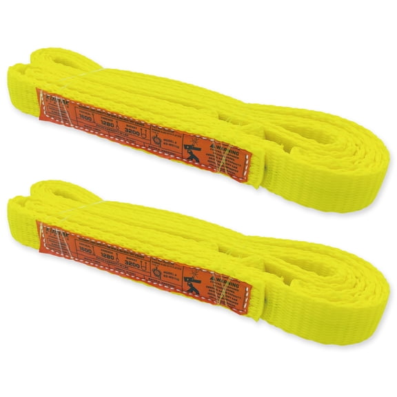 1-Ply Webbing Sling 1”x 10ft Lifting Straps 2Pack Heavy Duty Web Strap Rigging Moving Towing Hoisting Gear KODIAK STRAPS