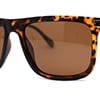 Tortoise Brown