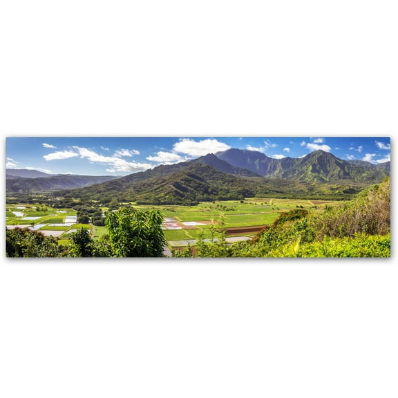 Trademark Fine Art 'Hanalei Kauai' Canvas Art by Pierre Leclerc